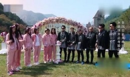 贾玲独家爆料视频播放在线观看,揭秘幕后故事与幕后英雄